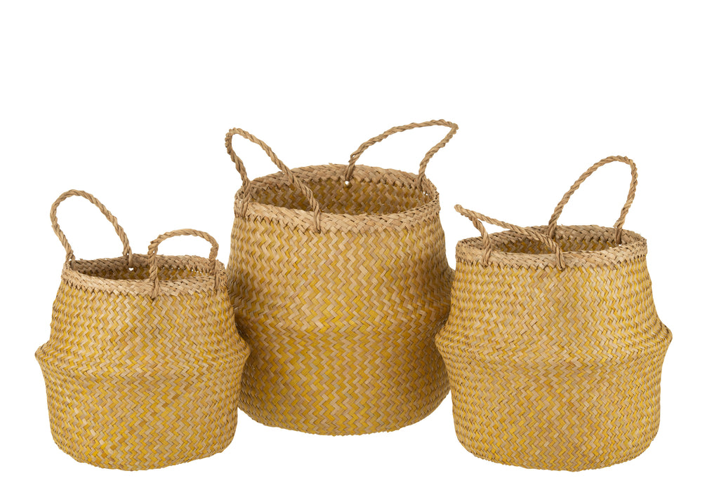 Set 3 Baskets Retractable Seagrass Yellow