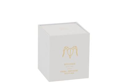 SCENTED CANDLE ASTRO CAPRICORNUS WHITE-50H