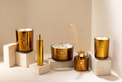 SCENTED OIL+STICKS EXCELLENT GOLDEN HONEY OCHRE