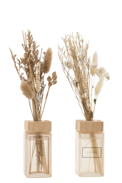 SCENTED OIL + FLOWERS BRANCHES NATURAL ASSORTMENT OF 2