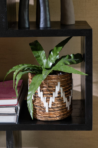 Set Of 3 Baskets Fanny Banana Leaf Natural/White